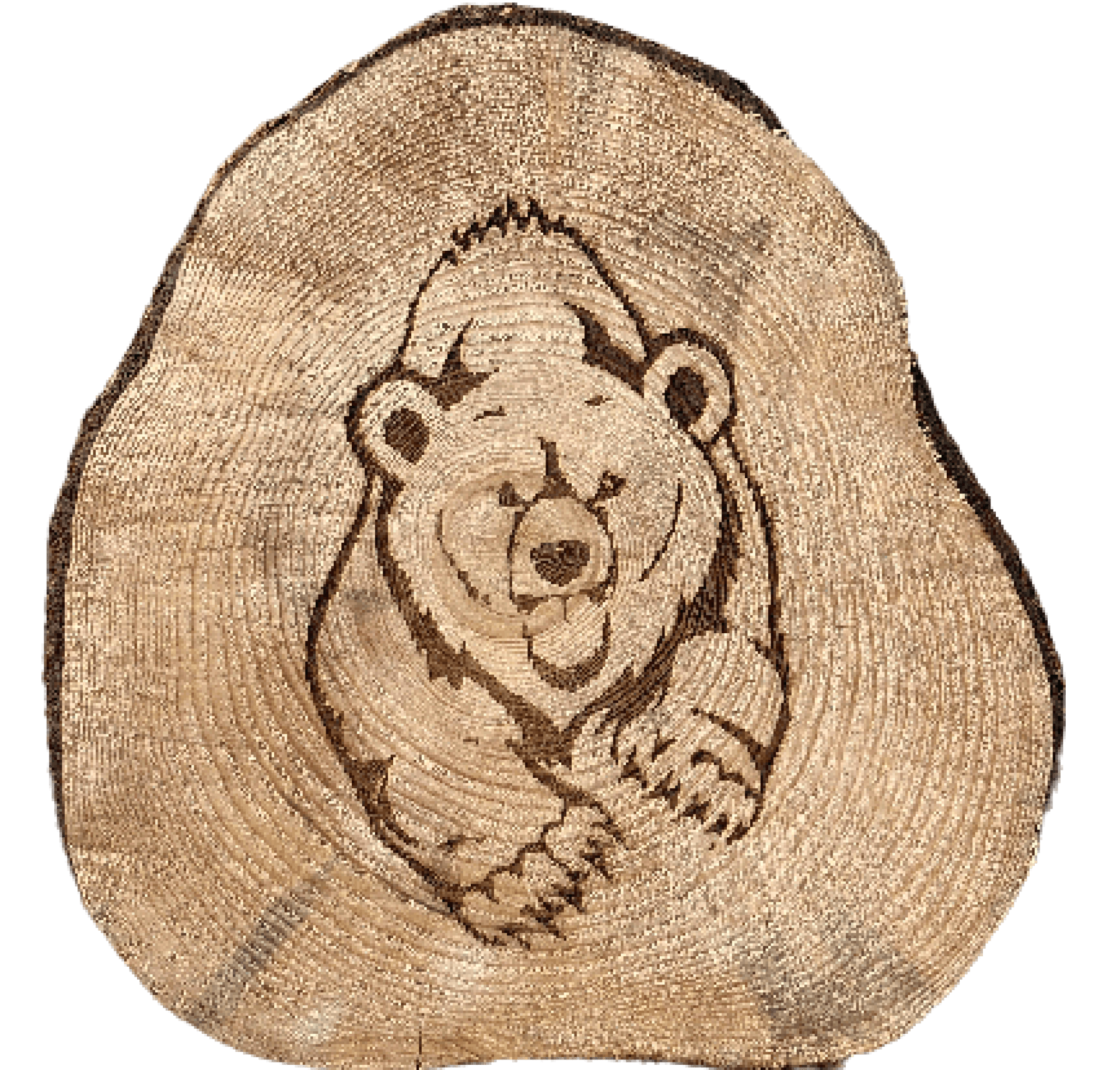 Gravure sur rondin de bois unique – Forest USB®